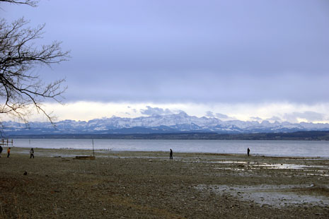 Uhldingen im Winter - Niedrigwasser - Blick auf Säntis